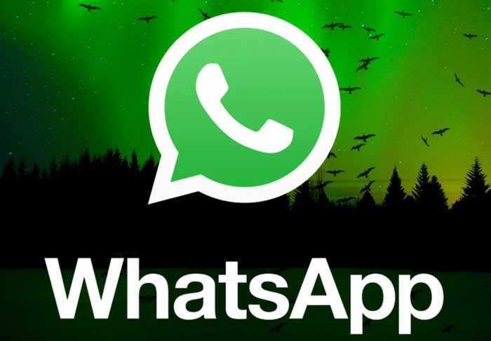 WhatsApp: не вдалося завантажити зображення повторіть спробу пізніше