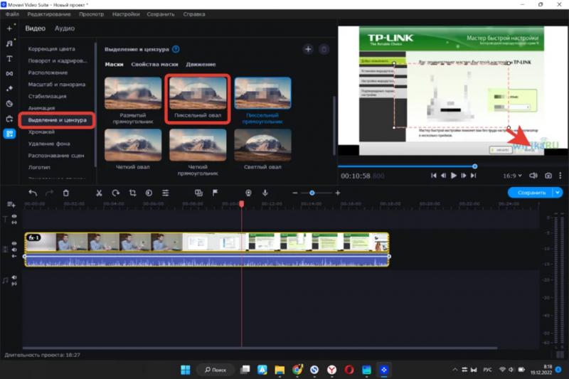 Виділення та цензура 