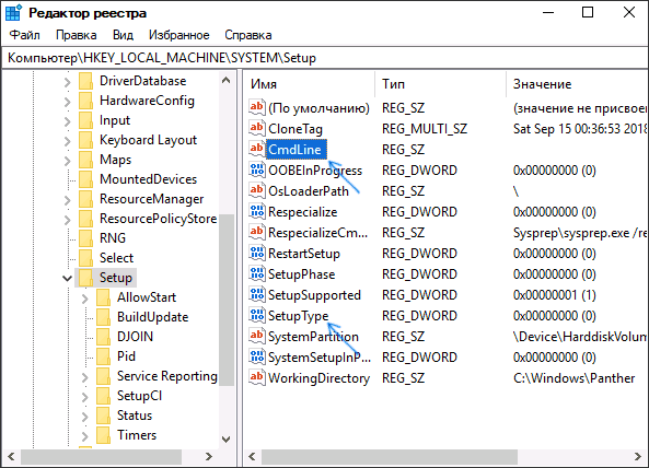 встановіть значення SetupType