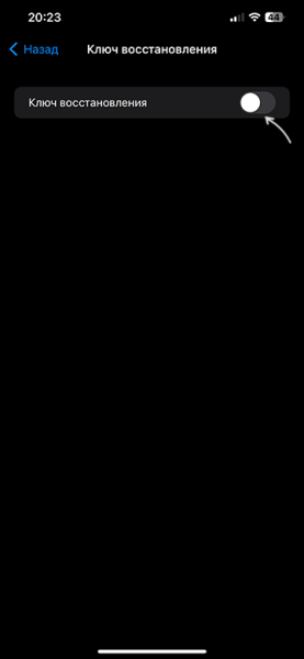 Увімкніть опцію «Ключ відновлення»